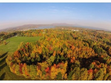 This 41-acre plot of land, situated in Derby (13.2A) and Newport on  in Vermont - for sale on GolfHomes.com, golf home, golf lot