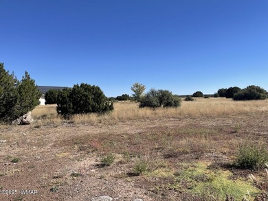 Big corner lot (.43 acres) on a fully paved and maintained on Silver Creek Golf Club in Arizona - for sale on GolfHomes.com, golf home, golf lot