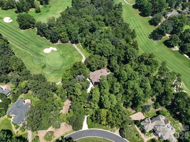 Nestled on the 6th green of The Old North State Club, 117 on Old North State Club at Uwharrie Point Golf community in North Carolina - for sale on GolfHomes.com, golf home, golf lot