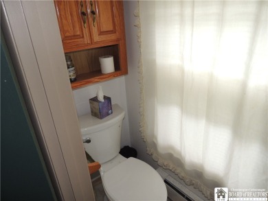 Experience Chautauqua Lake and Bemus Point and all it has to on Bemus Point Golf in New York - for sale on GolfHomes.com, golf home, golf lot