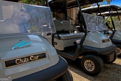 Welcome to your dream home in the prestigious gated community of on The Club At Osprey Cove in Georgia - for sale on GolfHomes.com, golf home, golf lot