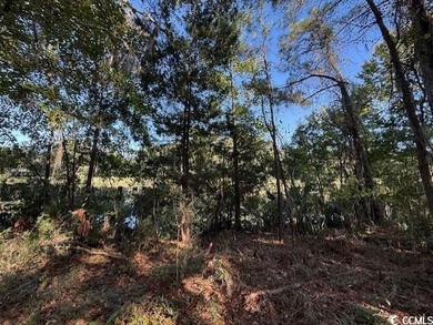 DeBordieu is a very desirable location and this is a rare on DeBordieu Country Club in South Carolina - for sale on GolfHomes.com, golf home, golf lot
