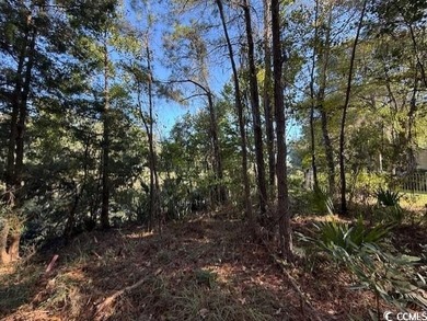 DeBordieu is a very desirable location and this is a rare on DeBordieu Country Club in South Carolina - for sale on GolfHomes.com, golf home, golf lot