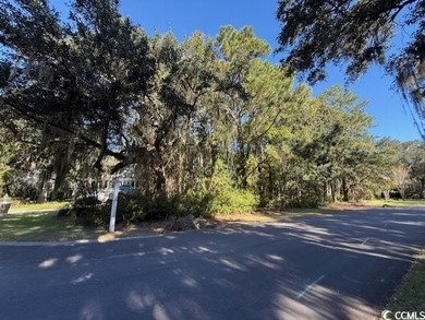DeBordieu is a very desirable location and this is a rare on DeBordieu Country Club in South Carolina - for sale on GolfHomes.com, golf home, golf lot