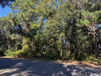 DeBordieu is a very desirable location and this is a rare on DeBordieu Country Club in South Carolina - for sale on GolfHomes.com, golf home, golf lot