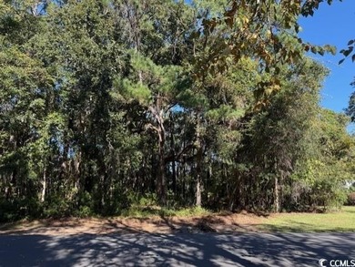 DeBordieu is a very desirable location and this is a rare on DeBordieu Country Club in South Carolina - for sale on GolfHomes.com, golf home, golf lot