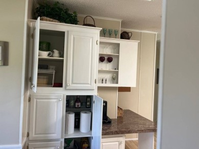 Experience Privacy, Modern Comfort, and Resort-Style Living - on Four Lakes Golf Club in Florida - for sale on GolfHomes.com, golf home, golf lot
