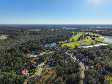 Ready to build your dream home? You have the perfect lot in on Harmony Golf Preserve in Florida - for sale on GolfHomes.com, golf home, golf lot