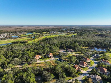 Ready to build your dream home? You have the perfect lot in on Harmony Golf Preserve in Florida - for sale on GolfHomes.com, golf home, golf lot