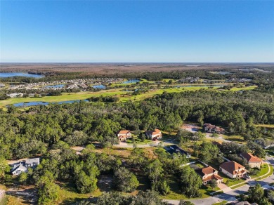 Ready to build your dream home? You have the perfect lot in on Harmony Golf Preserve in Florida - for sale on GolfHomes.com, golf home, golf lot