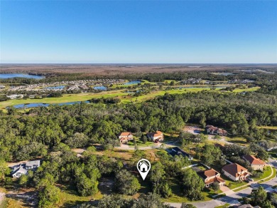 Ready to build your dream home? You have the perfect lot in on Harmony Golf Preserve in Florida - for sale on GolfHomes.com, golf home, golf lot