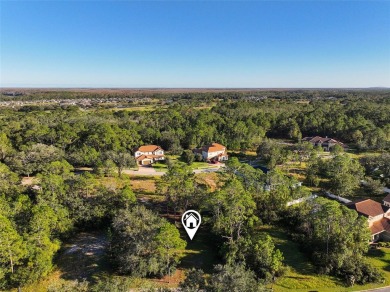 Ready to build your dream home? You have the perfect lot in on Harmony Golf Preserve in Florida - for sale on GolfHomes.com, golf home, golf lot