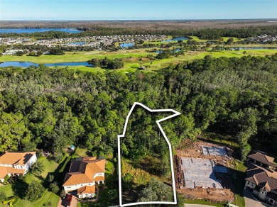 Want to build a DREAM HOME? Don't miss out on this vacant land on Harmony Golf Preserve in Florida - for sale on GolfHomes.com, golf home, golf lot