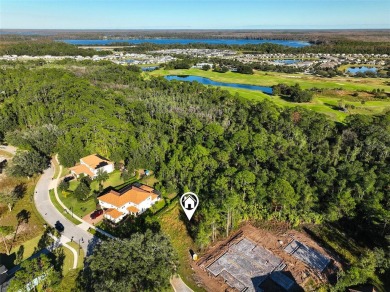 Want to build a DREAM HOME? Don't miss out on this vacant land on Harmony Golf Preserve in Florida - for sale on GolfHomes.com, golf home, golf lot