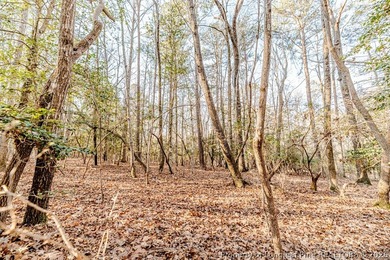 One of the largest and most desirable lots currently available on Carolina Trace Country Club in North Carolina - for sale on GolfHomes.com, golf home, golf lot