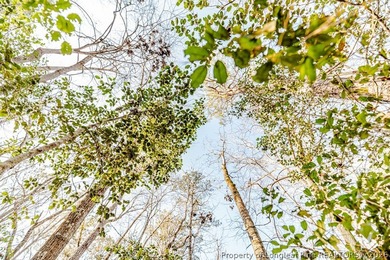 Discover the perfect place to build in the gated community of on Carolina Trace Country Club in North Carolina - for sale on GolfHomes.com, golf home, golf lot