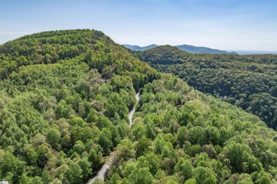 Discover your dream retreat on this stunning 0.95-acre wooded on The Cliffs Valley in North Carolina - for sale on GolfHomes.com, golf home, golf lot