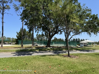 FANTASTIC MOVE IN READY HOME with OUTSTANDING VIEW OF THE GOLF on Heritage Pines Country Club in Florida - for sale on GolfHomes.com, golf home, golf lot