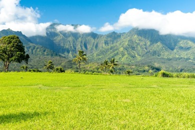 Location, Location, Location!  Exceptional 1.57-acre parcel on Makai Golf Club At Princeville in Hawaii - for sale on GolfHomes.com, golf home, golf lot