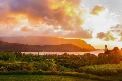 Location, Location, Location!  Exceptional 1.57-acre parcel on Makai Golf Club At Princeville in Hawaii - for sale on GolfHomes.com, golf home, golf lot