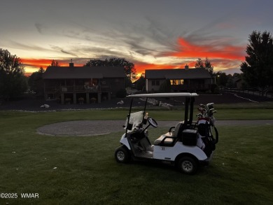 Looking for a Property in Show Low, Az? Come Visit this on Bison Golf and Country Club in Arizona - for sale on GolfHomes.com, golf home, golf lot