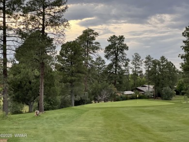 Looking for a Property in Show Low, Az? Come Visit this on Bison Golf and Country Club in Arizona - for sale on GolfHomes.com, golf home, golf lot