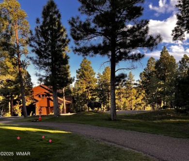 Looking for a Property in Show Low, Az? Come Visit this on Bison Golf and Country Club in Arizona - for sale on GolfHomes.com, golf home, golf lot