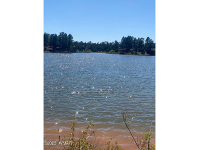 Looking for a Property in Show Low, Az? Come Visit this on Bison Golf and Country Club in Arizona - for sale on GolfHomes.com, golf home, golf lot