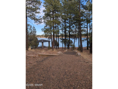 Looking for a Property in Show Low, Az? Come Visit this on Bison Golf and Country Club in Arizona - for sale on GolfHomes.com, golf home, golf lot