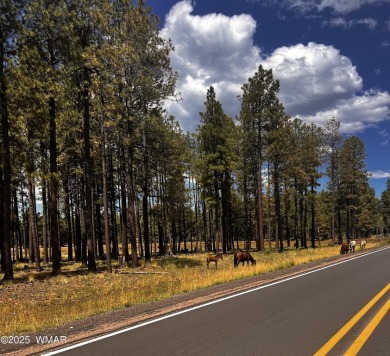 Looking for a Property in Show Low, Az? Come Visit this on Bison Golf and Country Club in Arizona - for sale on GolfHomes.com, golf home, golf lot