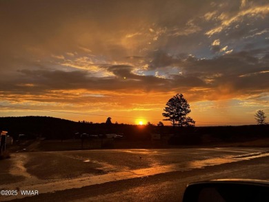 Looking for a Property in Show Low, Az? Come Visit this on Bison Golf and Country Club in Arizona - for sale on GolfHomes.com, golf home, golf lot