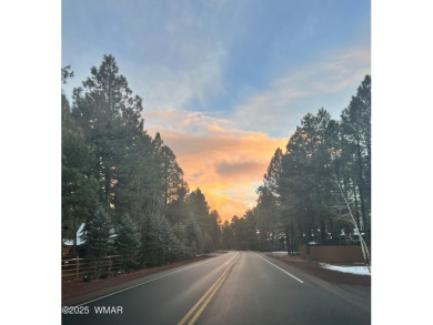 Looking for a Property in Show Low, Az? Come Visit this on Bison Golf and Country Club in Arizona - for sale on GolfHomes.com, golf home, golf lot