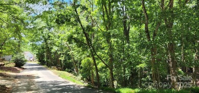 Don't miss this rare opportunity to own two contiguous wooded on Tega Cay Golf Club in South Carolina - for sale on GolfHomes.com, golf home, golf lot