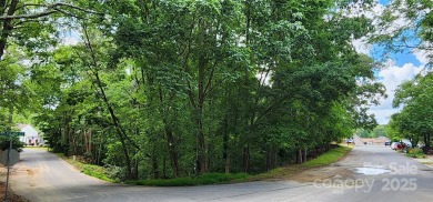 Don't miss this rare opportunity to own two contiguous wooded on Tega Cay Golf Club in South Carolina - for sale on GolfHomes.com, golf home, golf lot