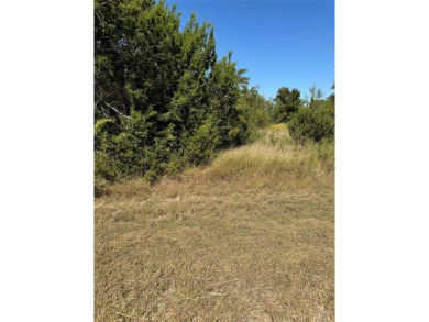 This lot won't last long. Everyone is looking for 1 AC or more on White Bluff Resort - New Course in Texas - for sale on GolfHomes.com, golf home, golf lot