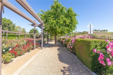 Elegant French Country Estate on Nearly 3 Usable Acres Near on Glen Ivy Golf Club in California - for sale on GolfHomes.com, golf home, golf lot