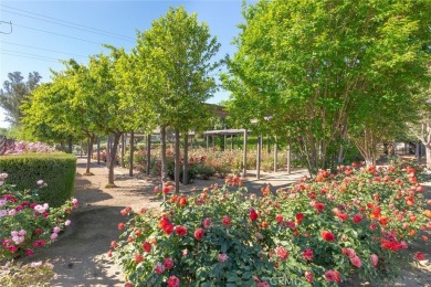 Elegant French Country Estate on Nearly 3 Usable Acres Near on Glen Ivy Golf Club in California - for sale on GolfHomes.com, golf home, golf lot