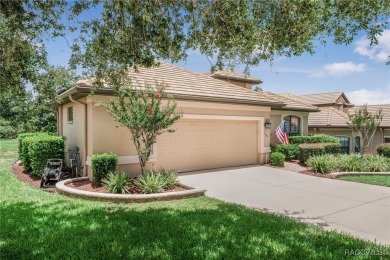 Beautiful Care-free Home in Terra Vista. 3 Bedrooms, 2 Baths  2 on Skyview At Terra Vista Golf and Country Club in Florida - for sale on GolfHomes.com, golf home, golf lot