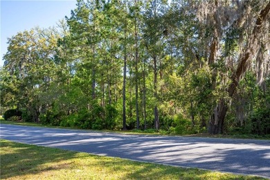 This remarkable lakefront lot spans just under one acre (0.90) on The King and Prince Golf Course, Home of the Hampton Club in Georgia - for sale on GolfHomes.com, golf home, golf lot