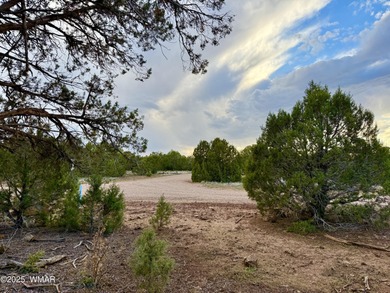 Beautiful, heavily treed lot in White Mountain Lakes with water on Silver Creek Golf Club in Arizona - for sale on GolfHomes.com, golf home, golf lot
