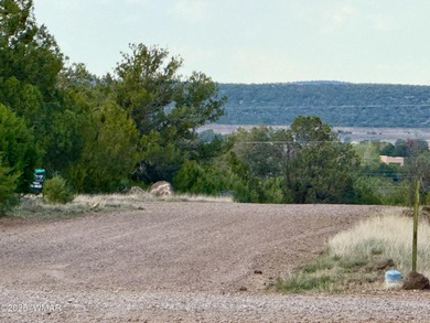 Beautiful, heavily treed lot in White Mountain Lakes with water on Silver Creek Golf Club in Arizona - for sale on GolfHomes.com, golf home, golf lot