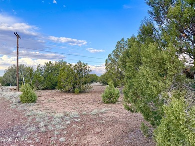 Beautiful, heavily treed lot in White Mountain Lakes with water on Silver Creek Golf Club in Arizona - for sale on GolfHomes.com, golf home, golf lot