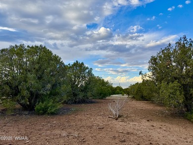 Beautiful, heavily treed lot in White Mountain Lakes with water on Silver Creek Golf Club in Arizona - for sale on GolfHomes.com, golf home, golf lot