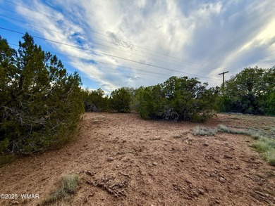 Beautiful, heavily treed lot in White Mountain Lakes with water on Silver Creek Golf Club in Arizona - for sale on GolfHomes.com, golf home, golf lot