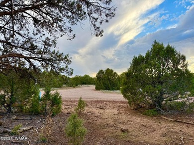 Beautiful, heavily treed lot in White Mountain Lakes with water on Silver Creek Golf Club in Arizona - for sale on GolfHomes.com, golf home, golf lot