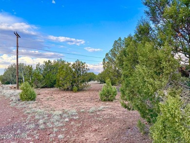 Beautiful, heavily treed lots in White Mountain Lakes with water on Silver Creek Golf Club in Arizona - for sale on GolfHomes.com, golf home, golf lot