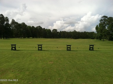 Welcome to this immaculate brick home located in the highly on Emerald Golf Club in North Carolina - for sale on GolfHomes.com, golf home, golf lot
