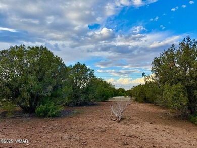 Beautiful, heavily treed lots in White Mountain Lakes with water on Silver Creek Golf Club in Arizona - for sale on GolfHomes.com, golf home, golf lot