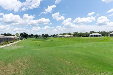 Live the Lifestyle You've Been Dreaming Of -- A Stunning Golf on Skyview At Terra Vista Golf and Country Club in Florida - for sale on GolfHomes.com, golf home, golf lot