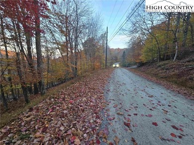 CURRENT BEECH MOUNTAIN CLUB INCLUDED on this gentle slope easy on Beech Mountain Club in North Carolina - for sale on GolfHomes.com, golf home, golf lot